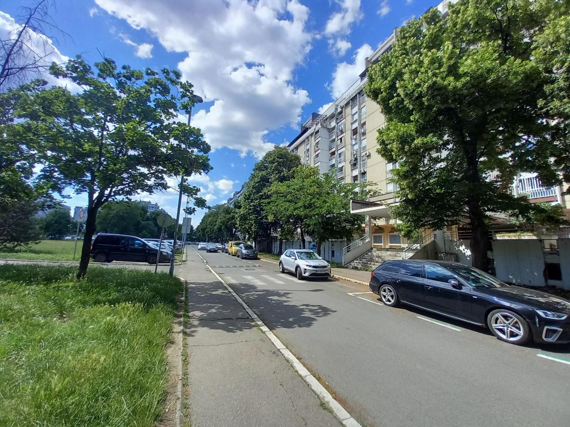 Under The Tree Apartment